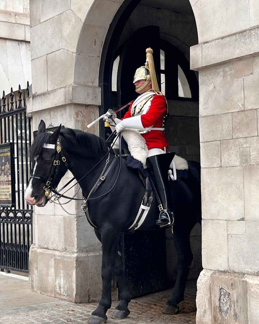 Horseguard in London